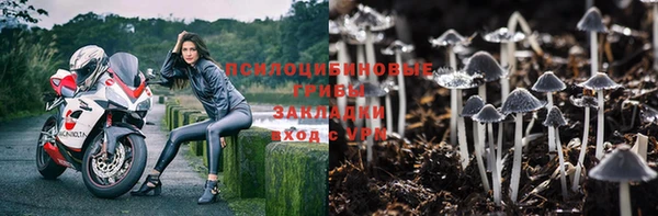 молекула духа Алзамай