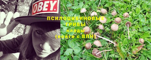 apvp Абаза