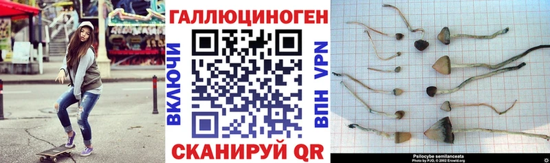 Галлюциногенные грибы ЛСД Подпорожье